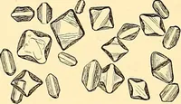An illustration from Clinical diagnosis : the bacteriological, chemical, and microscopical evidence of disease / by Rudolf v. Jaksch ; tr. from the 3rd German ed. and enlarged by James Cagney ; with numerous illustrations (partly in colours). (1893)