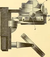 An illustration from Clinical diagnosis : the bacteriological, chemical, and microscopical evidence of disease / by Rudolf v. Jaksch ; tr. from the 3rd German ed. and enlarged by James Cagney ; with numerous illustrations (partly in colours). (1893)