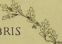 An illustration from Diseases of the eye / by Edward Nettleship ; with a supplement on examinations for color-blindness and acuity of vision and hearing, by William Thomson ; with 5 colored plates and 192 engravings. (1900)