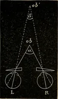 An illustration from Diseases of the eye / by Edward Nettleship ; with a supplement on examinations for color-blindness and acuity of vision and hearing, by William Thomson ; with 5 colored plates and 192 engravings. (1900)
