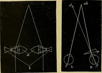 An illustration from Diseases of the eye / by Edward Nettleship ; with a supplement on examinations for color-blindness and acuity of vision and hearing, by William Thomson ; with 5 colored plates and 192 engravings. (1900)