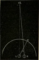 An illustration from Diseases of the eye / by Edward Nettleship ; with a supplement on examinations for color-blindness and acuity of vision and hearing, by William Thomson ; with 5 colored plates and 192 engravings. (1900)