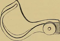An illustration from Diseases of the eye / by Edward Nettleship ; with a supplement on examinations for color-blindness and acuity of vision and hearing, by William Thomson ; with 5 colored plates and 192 engravings. (1900)