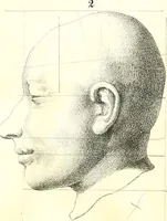 Picture 14 of 21 from Grundzüge der Phrenologie, oder, Anleitung zum Studium dieser Wissenschaft : mit Berücksichtigung der neueren Forschungen auf dem Gebiete der Physiologie und Psychologie / von R.R. Noel. (1847), leaf 623