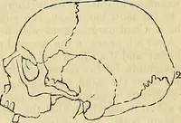 An illustration from The principles of phrenology / by Sidney Smith. (1838)