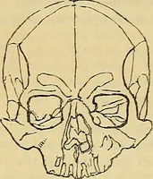 An illustration from The principles of phrenology / by Sidney Smith. (1838)