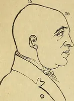 An illustration from The principles of phrenology / by Sidney Smith. (1838)