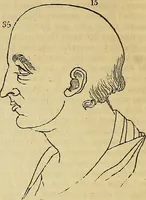 An illustration from The principles of phrenology / by Sidney Smith. (1838)