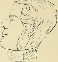 An illustration from The principles of phrenology / by Sidney Smith. (1838)