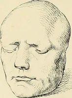 An illustration from The principles of phrenology / by Sidney Smith. (1838)