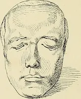 An illustration from The principles of phrenology / by Sidney Smith. (1838)