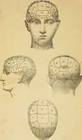 An illustration from The principles of phrenology / by Sidney Smith. (1838)