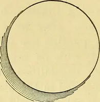 An illustration from Illusions: a psychological study. (1888)