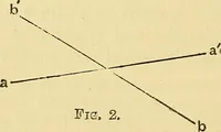 An illustration from Illusions: a psychological study. (1888)
