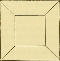 Picture 3 of 5 from Illusions: a psychological study. (1888), leaf 118