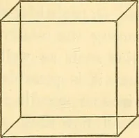 An illustration from Illusions: a psychological study. (1888)