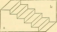Picture 5 of 5 from Illusions: a psychological study. (1888), leaf 119