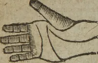 An illustration from The book of knowledge : treating of the wisdom of the ancients ; in four parts / written by Erra Pater, a Jew doctor in astronomy and physic, born in Bethany, near Mount Olivet, in Judea ; made English by W. Lilly, student in physic and astrology ; to which is added, the true form of all sorts of bills, bonds, counter-bonds, indentures, letters of attorney and licence, deeds of gift, bills of exchange, &c. (1795)