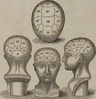 An illustration from A phrenological chart, presenting a synopsis of the science of phrenology : the phrenological analysis of the primitive powers of the mind, in their various degrees of developement, the phenomena produced by their combined activity, and the location of the corresponding organs, together with the phrenological character of [blank] / by J. Fletcher. (1837)