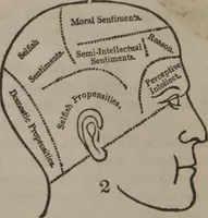 Picture 6 of 33 from Synopsis of phrenology and physiology : comprising a condensed description of the functions of the body and mind : also, indicating the relative development of these organs as applied to the person examined : with references to Fowler's phrenology, also, the additional improvements and discoveries made by the aid of magnetism and neurology / by L.N. Fowler. (1846), leaf 10