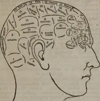 Picture 8 of 33 from Synopsis of phrenology and physiology : comprising a condensed description of the functions of the body and mind : also, indicating the relative development of these organs as applied to the person examined : with references to Fowler's phrenology, also, the additional improvements and discoveries made by the aid of magnetism and neurology / by L.N. Fowler. (1846), leaf 13