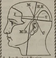 Picture 9 of 33 from Synopsis of phrenology and physiology : comprising a condensed description of the functions of the body and mind : also, indicating the relative development of these organs as applied to the person examined : with references to Fowler's phrenology, also, the additional improvements and discoveries made by the aid of magnetism and neurology / by L.N. Fowler. (1846), leaf 16