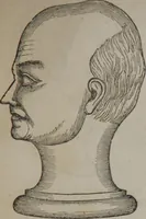 An illustration from Synopsis of phrenology and physiology : comprising a condensed description of the functions of the body and mind : also, indicating the relative development of these organs as applied to the person examined : with references to Fowler's phrenology, also, the additional improvements and discoveries made by the aid of magnetism and neurology / by L.N. Fowler. (1846)