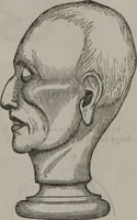 Picture 23 of 33 from Synopsis of phrenology and physiology : comprising a condensed description of the functions of the body and mind : also, indicating the relative development of these organs as applied to the person examined : with references to Fowler's phrenology, also, the additional improvements and discoveries made by the aid of magnetism and neurology / by L.N. Fowler. (1846), leaf 25