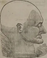 An illustration from Synopsis of phrenology and physiology : comprising a condensed description of the functions of the body and mind : also, indicating the relative development of these organs as applied to the person examined : with references to Fowler's phrenology, also, the additional improvements and discoveries made by the aid of magnetism and neurology / by L.N. Fowler. (1846)