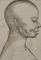 An illustration from Synopsis of phrenology and physiology : comprising a condensed description of the functions of the body and mind : also, indicating the relative development of these organs as applied to the person examined : with references to Fowler's phrenology, also, the additional improvements and discoveries made by the aid of magnetism and neurology / by L.N. Fowler. (1846)