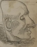 An illustration from Synopsis of phrenology and physiology : comprising a condensed description of the functions of the body and mind : also, indicating the relative development of these organs as applied to the person examined : with references to Fowler's phrenology, also, the additional improvements and discoveries made by the aid of magnetism and neurology / by L.N. Fowler. (1846)