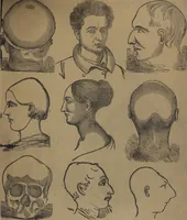 Picture 32 of 33 from Synopsis of phrenology and physiology : comprising a condensed description of the functions of the body and mind : also, indicating the relative development of these organs as applied to the person examined : with references to Fowler's phrenology, also, the additional improvements and discoveries made by the aid of magnetism and neurology / by L.N. Fowler. (1846), leaf 27