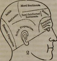 An illustration from Phrenology versus intemperance : a lecture on temperance, considered physiologically and phrenologically : or, The laws of life, and the principles of the human constitution, as developed by the sciences of phrenology and physiology, applied to total abstinence from all alcoholic and intoxicating drinks / by O.S. Fowler. (1841)