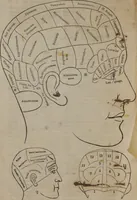 An illustration from Synopsis of phrenology and the phrenological developments : together with the character and talents of [blank] as given by [blank] : with reference to those pages of "Phrenology proved, illiustrated, and applied," in which will be found a full and correct delineation of the intellectual and moral character and manifestations of the above-named individual / by O.S. Fowler. (1848)
