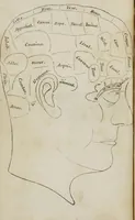 An illustration from Phrenology, or, The doctrine of the mental phenomena : explained, illustrated, and defended in a series of lectures / by J.M. Graves ; to which a cut and chart are annexed, containing a classification of all the phrenological organs, with their location, aim, and perversion, together with a brief historical notice of the science of phrenology, as given by approved authors ; to which is appended a supplement on the natural language of the organs, by C.C. Williams. (1838)