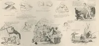 An illustration from Phrenology exemplified and illustrated, with upwards of forty etchings / by D.C. Johnston. (1837)
