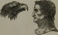 An illustration from The pocket Lavater, or, The science of physiognomy : to which is added, An inquiry into the analogy existing between brute and human physiognomy, from the Italian of Porta. (1832)