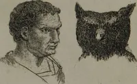 An illustration from The pocket Lavater, or, The science of physiognomy : to which is added, An inquiry into the analogy existing between brute and human physiognomy, from the Italian of Porta. (1832)