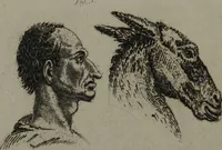 Picture 27 of 31 from The pocket Lavater, or, The science of physiognomy : to which is added, An inquiry into the analogy existing between brute and human physiognomy, from the Italian of Porta. (1832), leaf 150