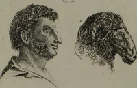 An illustration from The pocket Lavater, or, The science of physiognomy : to which is added, An inquiry into the analogy existing between brute and human physiognomy, from the Italian of Porta. (1832)
