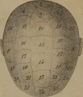 An illustration from Lecciones de frenología : esplicadas en el liceo artístico y literario de la Habana / por Sabino de Losada. (1849)