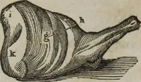 An illustration from MacKenzie's five thousand receipts in all the useful and domestic arts : constituting a complete practical library ... : a new American, from the latest London edition : with numerous and important additions generally : and the medical part carefully revised and adapted to the climate of the U. States : and also a new and most copious index / by an American physician. (1829)