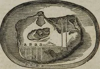 An illustration from MacKenzie's five thousand receipts in all the useful and domestic arts : constituting a complete practical library ... : a new American, from the latest London edition : with numerous and important additions generally : and the medical part carefully revised and adapted to the climate of the U. States : and also a new and most copious index / by an American physician. (1829)