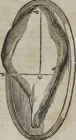 An illustration from MacKenzie's five thousand receipts in all the useful and domestic arts : constituting a complete practical library ... : a new American, from the latest London edition : with numerous and important additions generally : and the medical part carefully revised and adapted to the climate of the U. States : and also a new and most copious index / by an American physician. (1829)