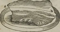 Picture 14 of 26 from MacKenzie's five thousand receipts in all the useful and domestic arts : constituting a complete practical library ... : a new American, from the latest London edition : with numerous and important additions generally : and the medical part carefully revised and adapted to the climate of the U. States : and also a new and most copious index / by an American physician. (1829), leaf 426