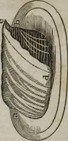 An illustration from MacKenzie's five thousand receipts in all the useful and domestic arts : constituting a complete practical library ... : a new American, from the latest London edition : with numerous and important additions generally : and the medical part carefully revised and adapted to the climate of the U. States : and also a new and most copious index / by an American physician. (1829)