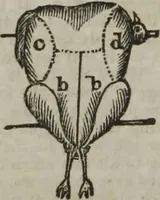 An illustration from MacKenzie's five thousand receipts in all the useful and domestic arts : constituting a complete practical library ... : a new American, from the latest London edition : with numerous and important additions generally : and the medical part carefully revised and adapted to the climate of the U. States : and also a new and most copious index / by an American physician. (1829)