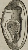 An illustration from MacKenzie's five thousand receipts in all the useful and domestic arts : constituting a complete practical library ... : a new American, from the latest London edition : with numerous and important additions generally : and the medical part carefully revised and adapted to the climate of the U. States : and also a new and most copious index / by an American physician. (1829)