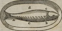 An illustration from MacKenzie's five thousand receipts in all the useful and domestic arts : constituting a complete practical library ... : a new American, from the latest London edition : with numerous and important additions generally : and the medical part carefully revised and adapted to the climate of the U. States : and also a new and most copious index / by an American physician. (1829)