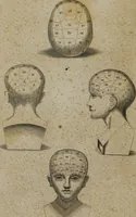 An illustration from A catechism of phrenology : illustrative of the principles of that science / by a Member of the Phrenological Society of Edinburgh. (1835)